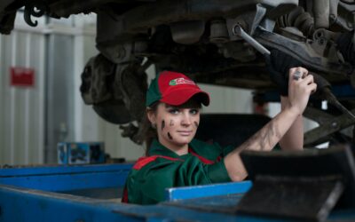 Components of Fleet Inspections