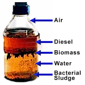 What is in contaminated diesel fuel: Air, diesel, biomass, water, bacterial sludge